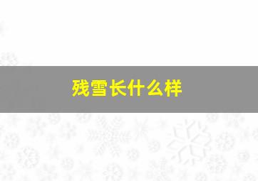 残雪长什么样