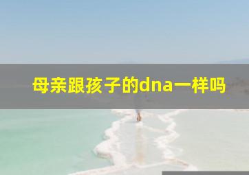 母亲跟孩子的dna一样吗