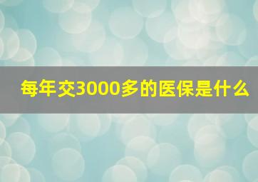 每年交3000多的医保是什么