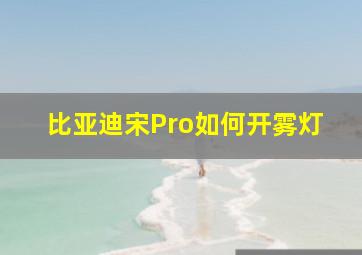 比亚迪宋Pro如何开雾灯