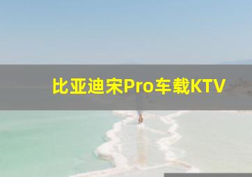 比亚迪宋Pro车载KTV