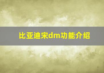 比亚迪宋dm功能介绍