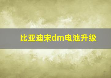 比亚迪宋dm电池升级