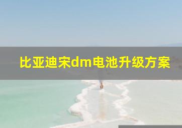 比亚迪宋dm电池升级方案