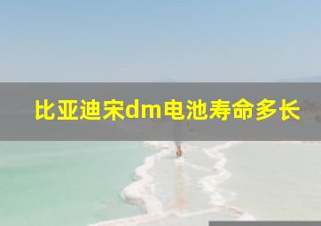 比亚迪宋dm电池寿命多长