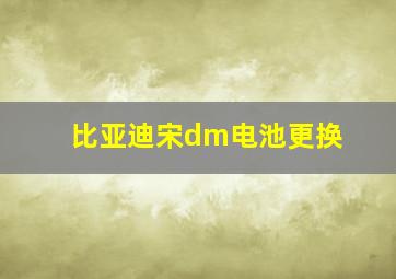 比亚迪宋dm电池更换