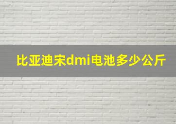 比亚迪宋dmi电池多少公斤