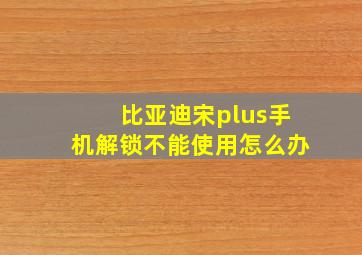 比亚迪宋plus手机解锁不能使用怎么办