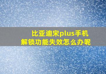 比亚迪宋plus手机解锁功能失效怎么办呢