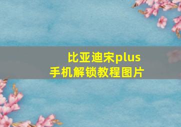 比亚迪宋plus手机解锁教程图片