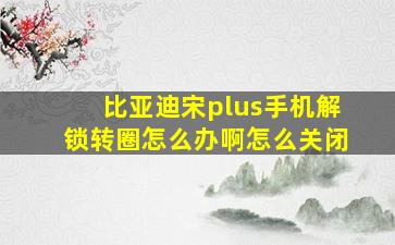 比亚迪宋plus手机解锁转圈怎么办啊怎么关闭