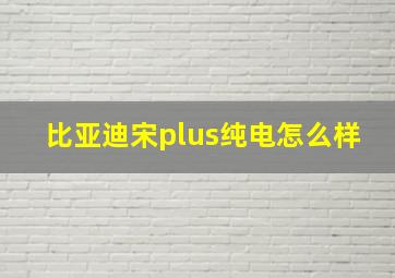 比亚迪宋plus纯电怎么样