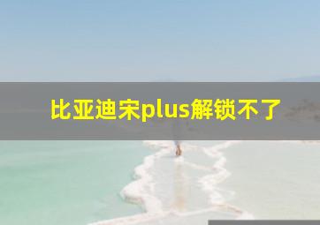 比亚迪宋plus解锁不了