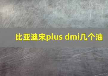 比亚迪宋plus dmi几个油