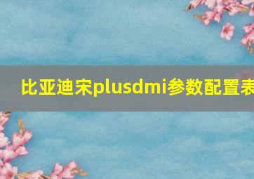 比亚迪宋plusdmi参数配置表