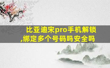 比亚迪宋pro手机解锁,绑定多个号码吗安全吗