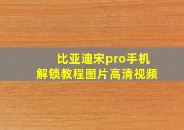 比亚迪宋pro手机解锁教程图片高清视频