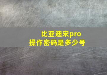 比亚迪宋pro操作密码是多少号