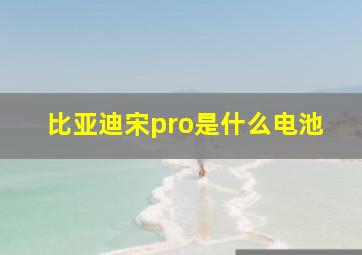 比亚迪宋pro是什么电池