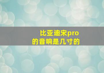 比亚迪宋pro的音响是几寸的