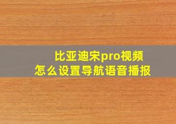 比亚迪宋pro视频怎么设置导航语音播报