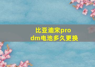 比亚迪宋pro dm电池多久更换