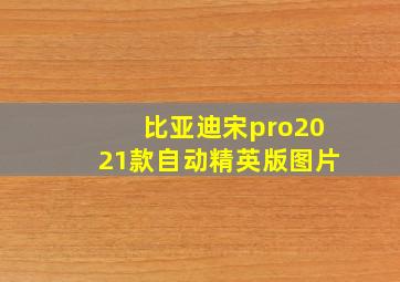 比亚迪宋pro2021款自动精英版图片