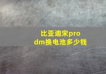 比亚迪宋prodm换电池多少钱