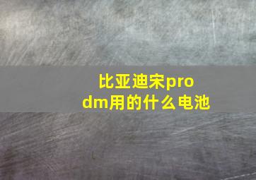 比亚迪宋prodm用的什么电池