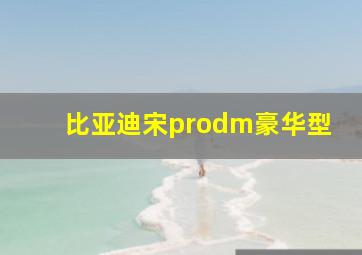 比亚迪宋prodm豪华型