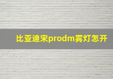 比亚迪宋prodm雾灯怎开