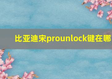 比亚迪宋prounlock键在哪