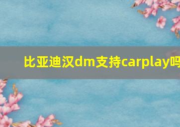 比亚迪汉dm支持carplay吗