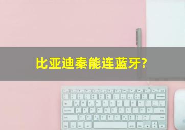 比亚迪秦能连蓝牙?