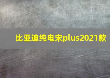 比亚迪纯电宋plus2021款