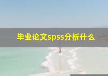 毕业论文spss分析什么