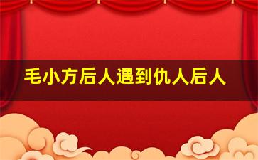 毛小方后人遇到仇人后人