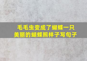 毛毛虫变成了蝴蝶一只美丽的蝴蝶照样子写句子