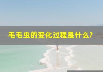 毛毛虫的变化过程是什么?