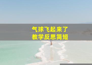 气球飞起来了教学反思简短