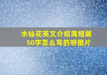 水仙花英文介绍简短版50字怎么写的呀图片