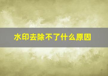 水印去除不了什么原因