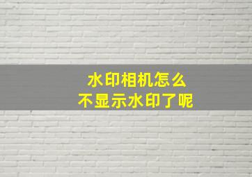 水印相机怎么不显示水印了呢