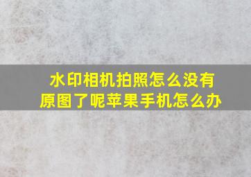 水印相机拍照怎么没有原图了呢苹果手机怎么办