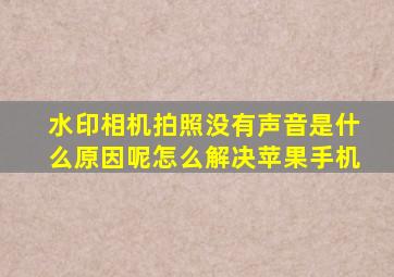 水印相机拍照没有声音是什么原因呢怎么解决苹果手机