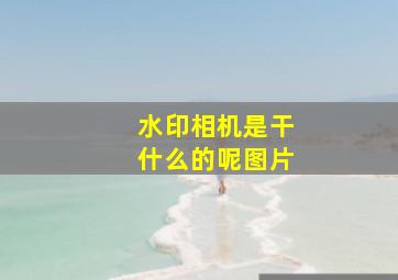 水印相机是干什么的呢图片