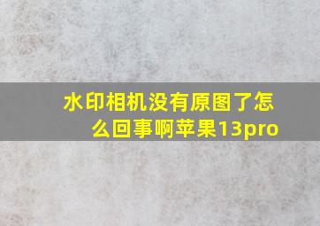 水印相机没有原图了怎么回事啊苹果13pro