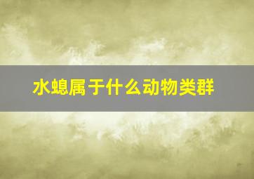 水螅属于什么动物类群