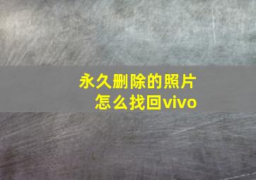 永久删除的照片怎么找回vivo