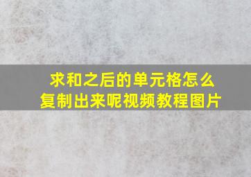 求和之后的单元格怎么复制出来呢视频教程图片